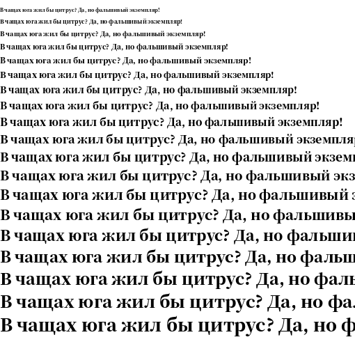 Specimen for Noto Serif CJK JP Black (Cyrillic script).