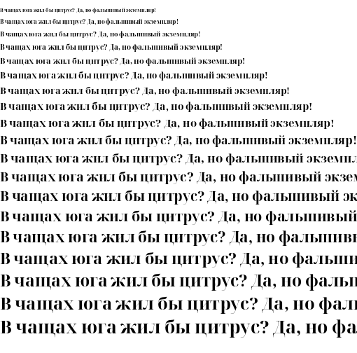 Specimen for Noto Serif Display Bold (Cyrillic script).