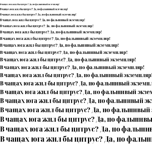 Specimen for Noto Serif Display Condensed ExtraBold (Cyrillic script).