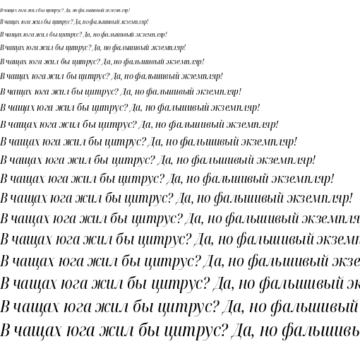 Specimen for Noto Serif Display Condensed Italic (Cyrillic script).