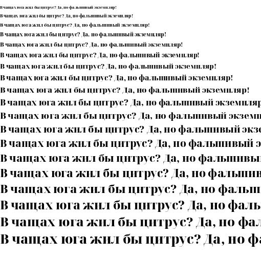 Specimen for Noto Serif Display ExtraBold (Cyrillic script).