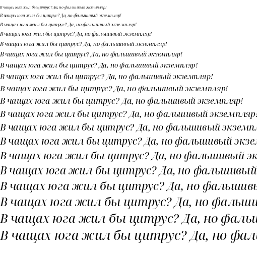 Specimen for Noto Serif Display Italic (Cyrillic script).