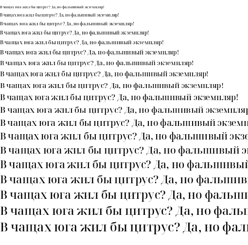 Specimen for Noto Serif Display Medium (Cyrillic script).