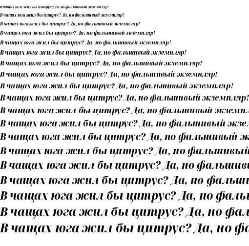 Specimen for Noto Serif Display SemiCondensed ExtraBold Italic (Cyrillic script).