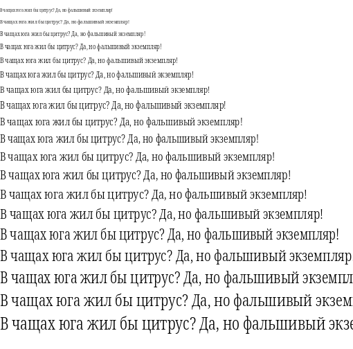 Specimen for Noto Serif ExtraCondensed Light (Cyrillic script).