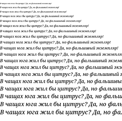 Specimen for Noto Serif Medium Italic (Cyrillic script).