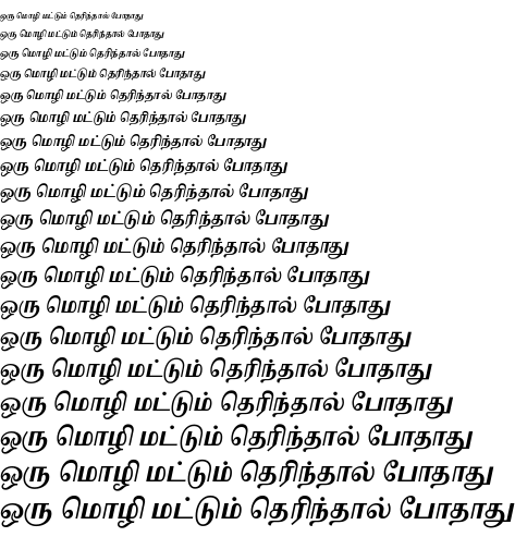 Specimen for Noto Serif Tamil Slanted Condensed Bold (Tamil script).