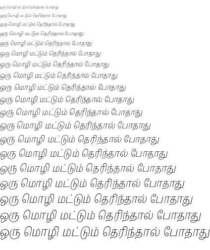 Specimen for Noto Serif Tamil Slanted Condensed ExtraLight (Tamil script).