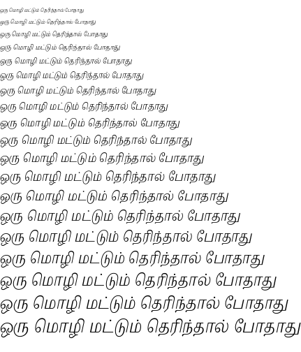 Specimen for Noto Serif Tamil Slanted Condensed Light (Tamil script).