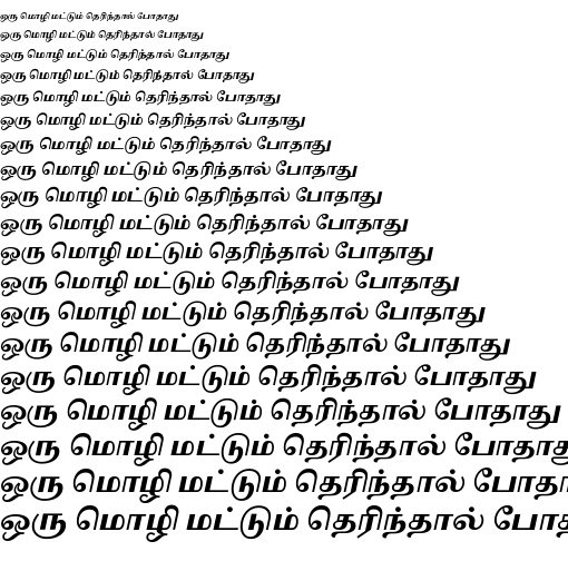 Specimen for Noto Serif Tamil Slanted ExtraBold (Tamil script).
