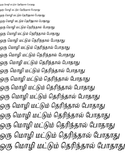 Specimen for Noto Serif Tamil Slanted ExtraCondensed (Tamil script).