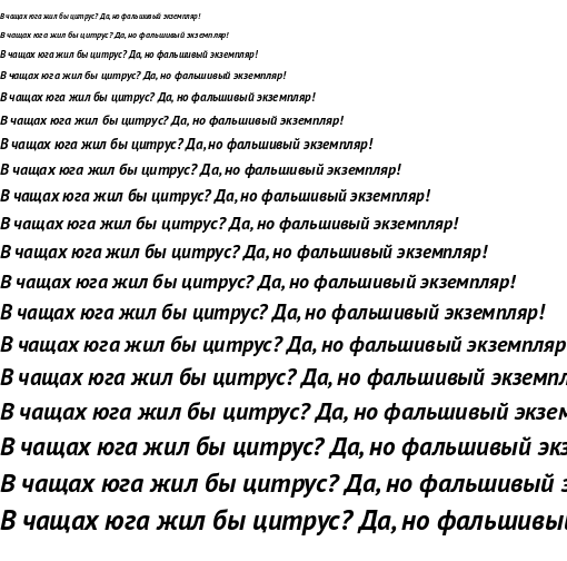 Specimen for PT Sans Bold Italic (Cyrillic script).