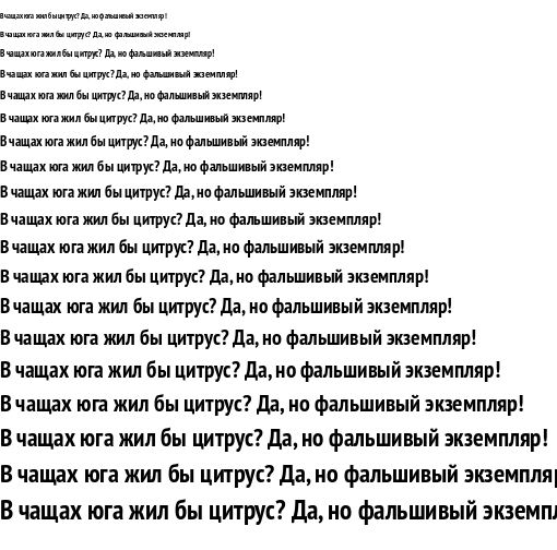 Specimen for PT Sans Narrow Bold (Cyrillic script).