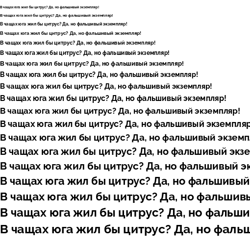 Specimen for Raleway Bold (Cyrillic script).