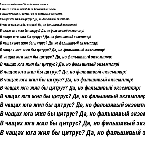 Specimen for Roboto Condensed Bold Italic (Cyrillic script).