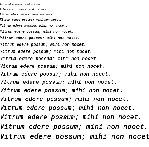 Specimen for Roboto Mono Medium Italic (Latin script).