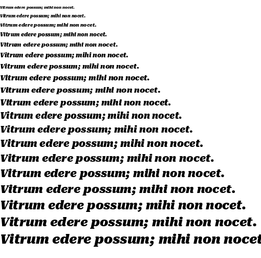 Specimen for Roboto Serif 14pt Black Italic (Latin script).