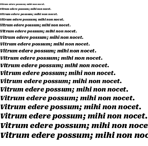 Specimen for Roboto Serif 8pt Black Italic (Latin script).