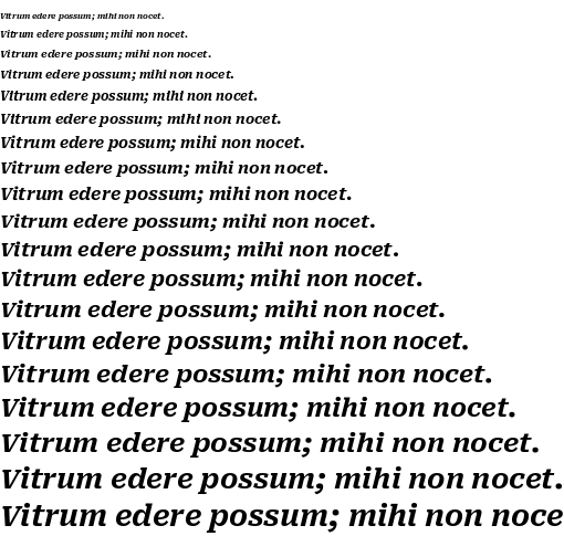 Specimen for Roboto Serif 8pt Bold Italic (Latin script).