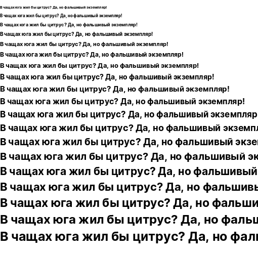 Specimen for Sarasa Gothic CL Bold (Cyrillic script).