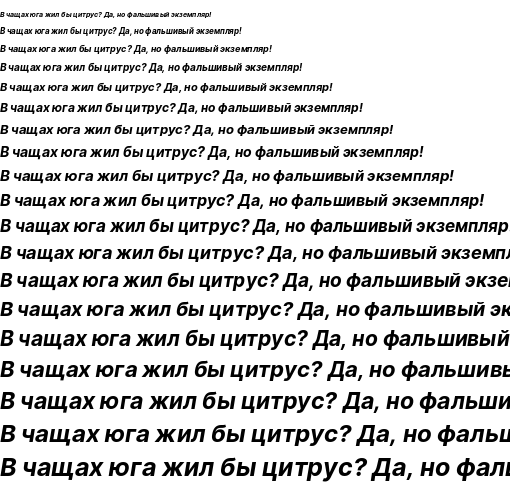 Specimen for Sarasa Gothic J Bold Italic (Cyrillic script).
