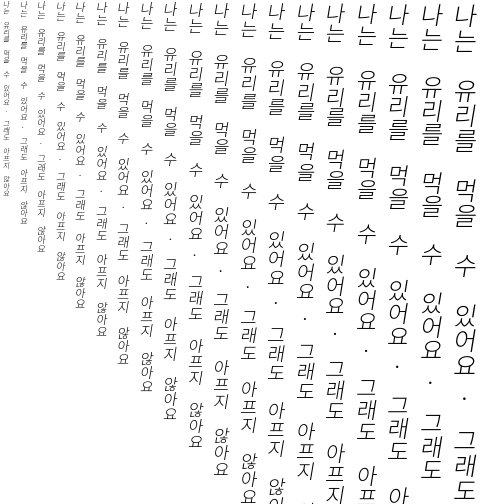 Specimen for Sarasa Mono Slab HC Light Italic (Hangul script).