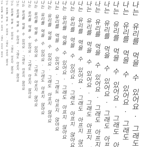 Specimen for Sarasa Term K Light Italic (Hangul script).