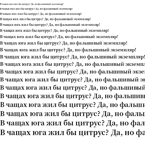 Specimen for Source Han Serif CN Bold (Cyrillic script).