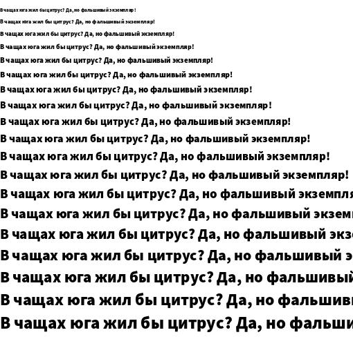 Specimen for Source Sans 3 Black (Cyrillic script).