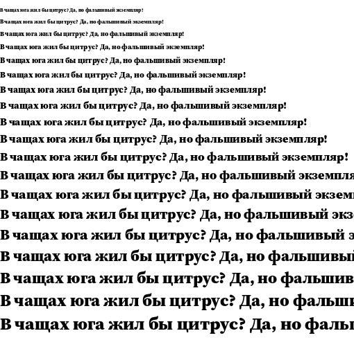 Specimen for Source Serif 4 Black (Cyrillic script).
