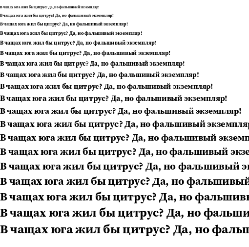 Specimen for Source Serif 4 Bold (Cyrillic script).