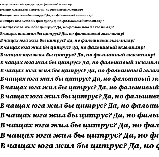 Specimen for Source Serif 4 Caption Black Italic (Cyrillic script).