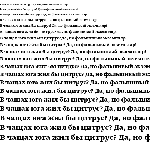 Specimen for Source Serif 4 Caption Bold (Cyrillic script).