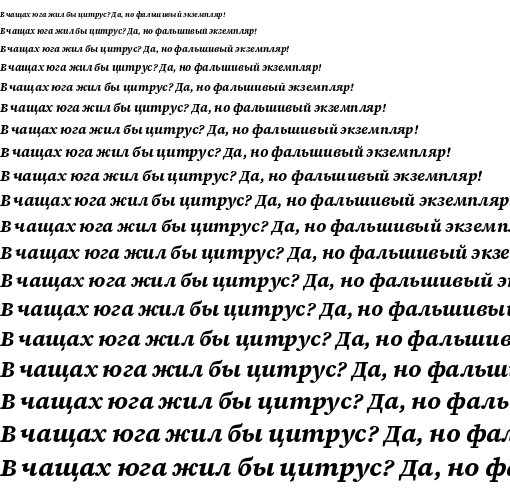 Specimen for Source Serif 4 Caption Bold Italic (Cyrillic script).