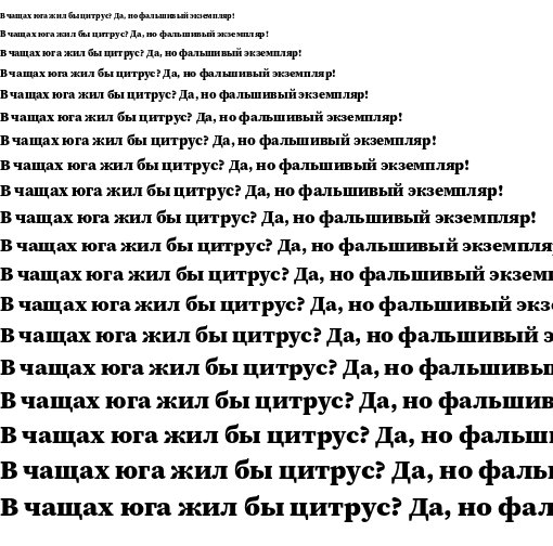 Specimen for Source Serif 4 SmText Black (Cyrillic script).
