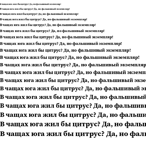 Specimen for Source Serif 4 SmText Bold (Cyrillic script).