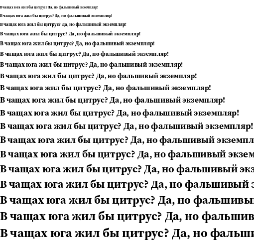 Specimen for Source Serif 4 Subhead Bold (Cyrillic script).