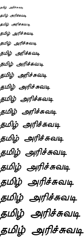 Specimen for TSCu_Paranar Italic (Tamil script).
