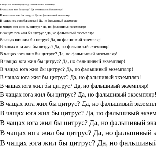 Specimen for Tinos Regular (Cyrillic script).