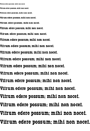 Specimen for Typodermic Regular (Latin script).