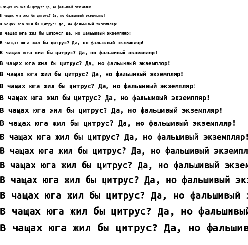 Specimen for Ubuntu Mono Bold (Cyrillic script).