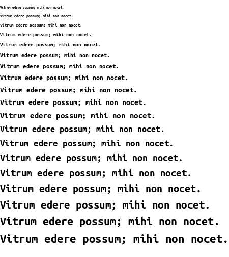 Specimen for Ubuntu Mono Bold (Latin script).