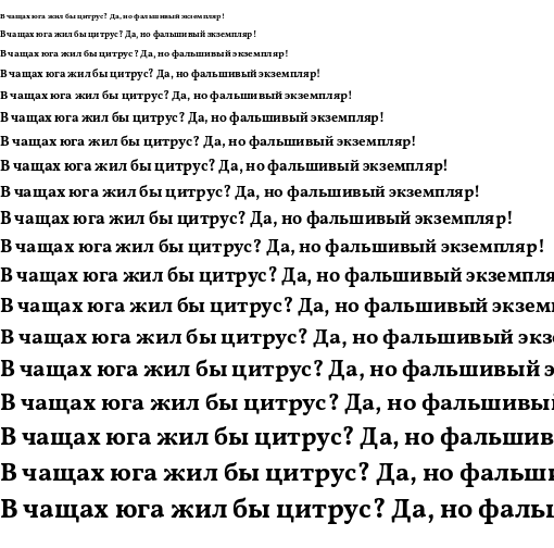Specimen for Vollkorn Bold (Cyrillic script).
