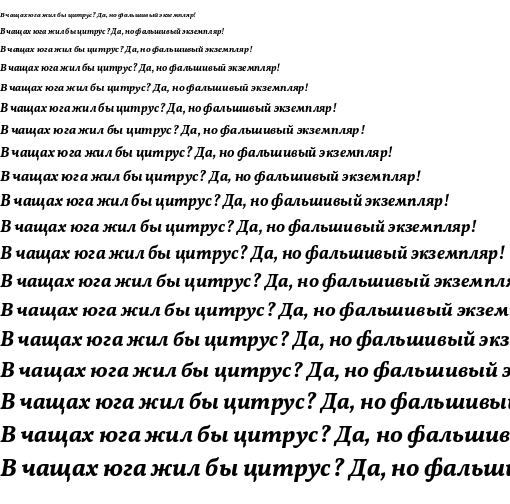 Specimen for Vollkorn Bold Italic (Cyrillic script).