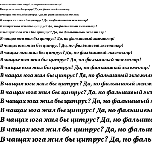 Specimen for Vollkorn ExtraBold Italic (Cyrillic script).