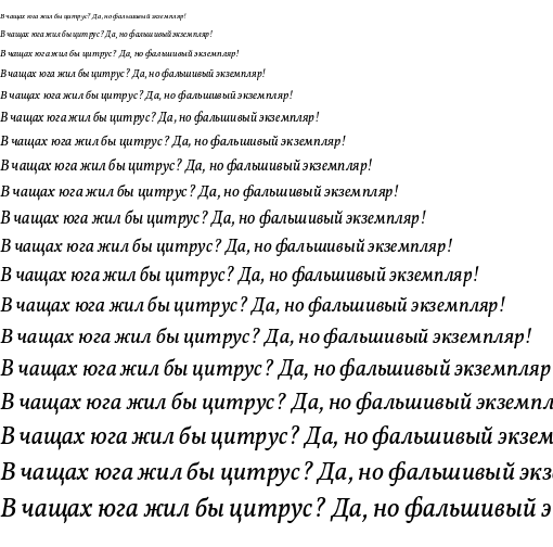 Specimen for Vollkorn Italic (Cyrillic script).
