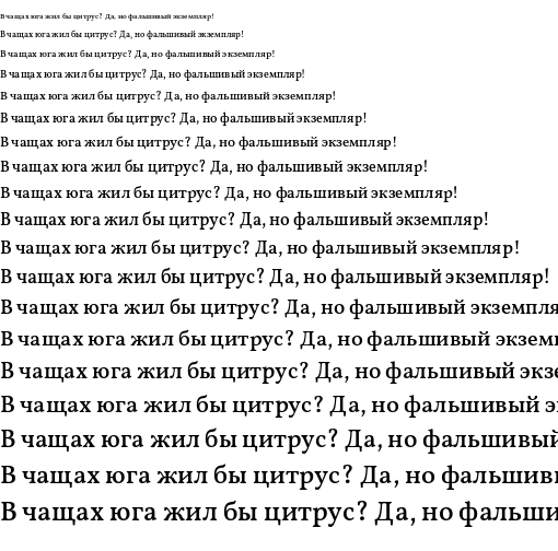 Specimen for Vollkorn Medium (Cyrillic script).