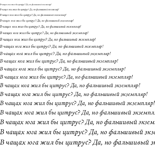 Specimen for Walleye Italic (Cyrillic script).